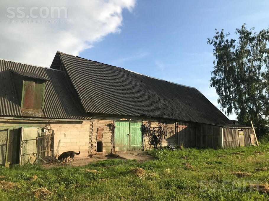 Randene, Daugavpils un raj., Kalkūnes pag. — vienseta