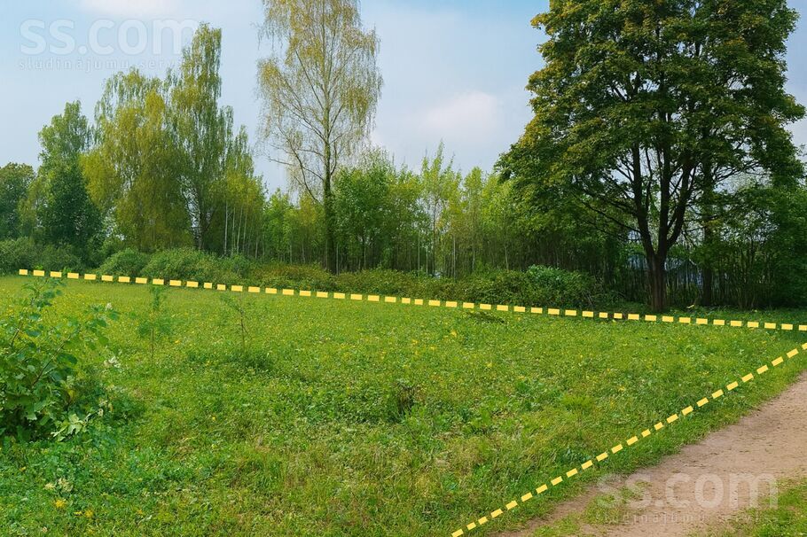 Pavasara, Brīvkalni, Rīgas rajons, Babītes pag. — zeme