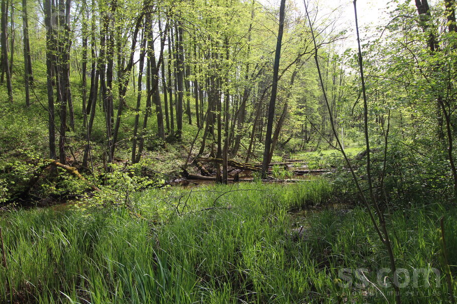 Kāši-Ventas, Daugavpils un raj., Medumu pag. — zeme