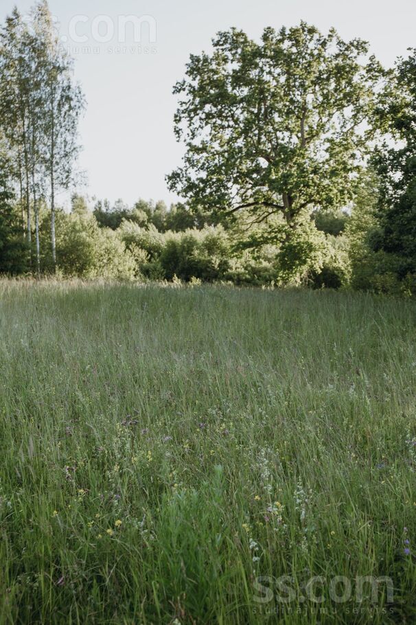 Vīnkalni, Limbaži un raj., Liepupes pag. — zeme