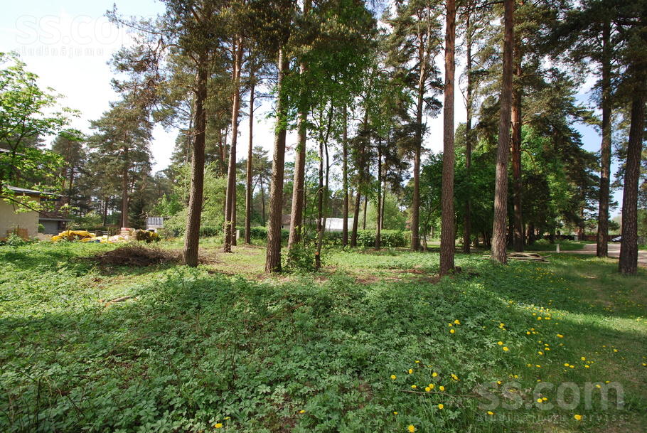 Vējavas iela 28, Ādaži, Rīgas rajons, Ādažu nov. — zeme