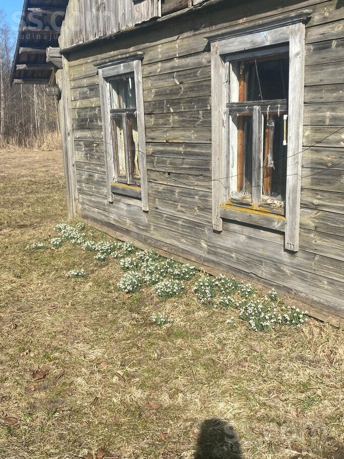 Dzirnupes, Krištopeņi, Preiļi un raj., Rušonas pag. — maja