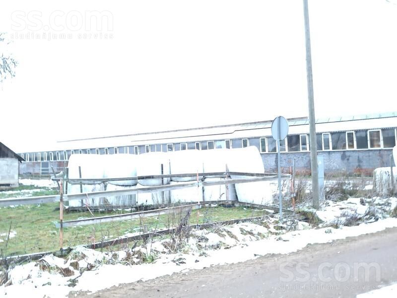 Kalna Pupoli, Šengeida, Daugavpils un raj., Skrudalienas pag. — telpa