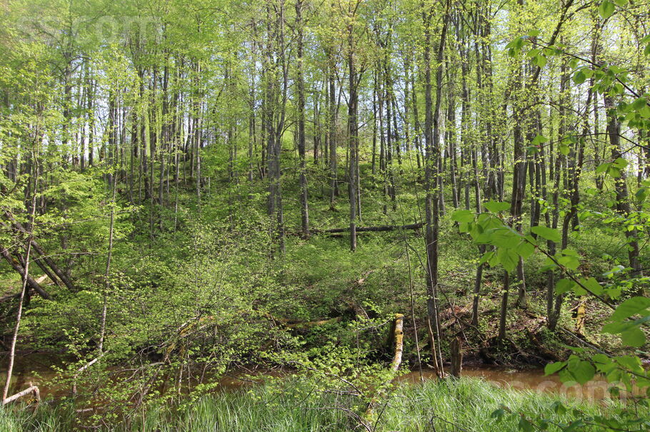 Kāši-Ventas, Daugavpils un raj., Medumu pag. — zeme