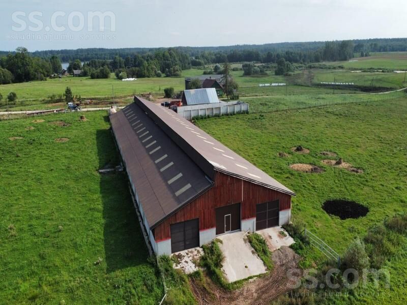 Kalna pupoli, Šengeida, Daugavpils un raj., Skrudalienas pag. — telpa