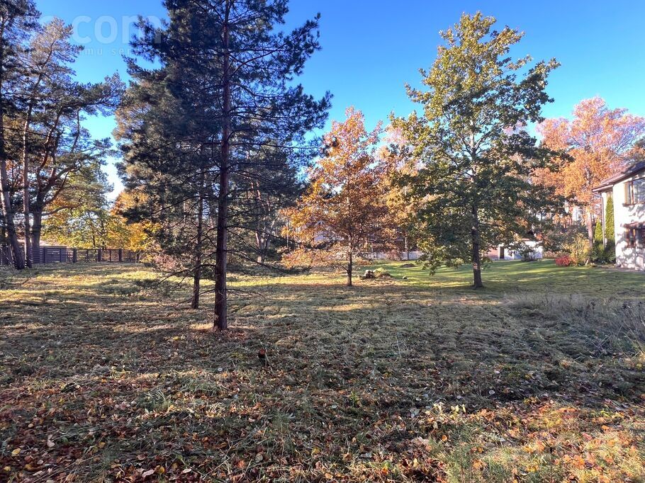 Viņķu iela 10a, Jūrmala — zeme