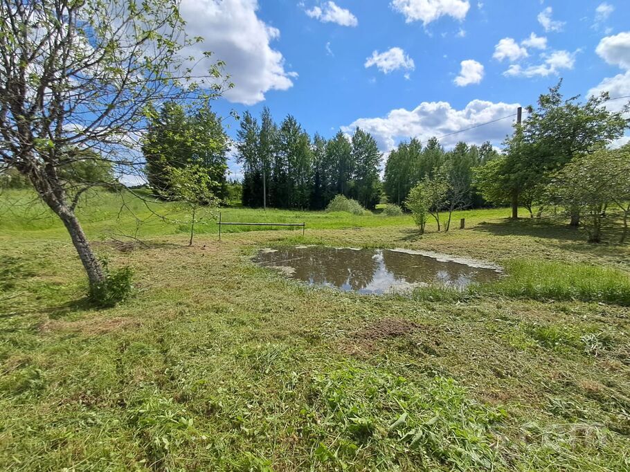 Kriviniški, Daugavpils un raj., Medumu pag. — vienseta