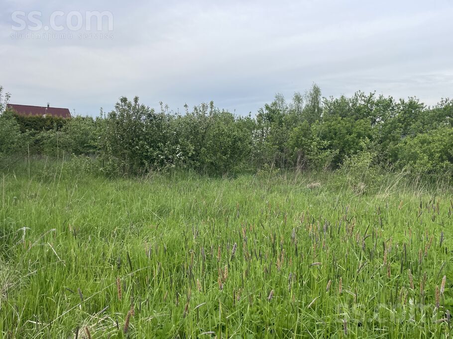 Jaunciema g., Rīga — zeme