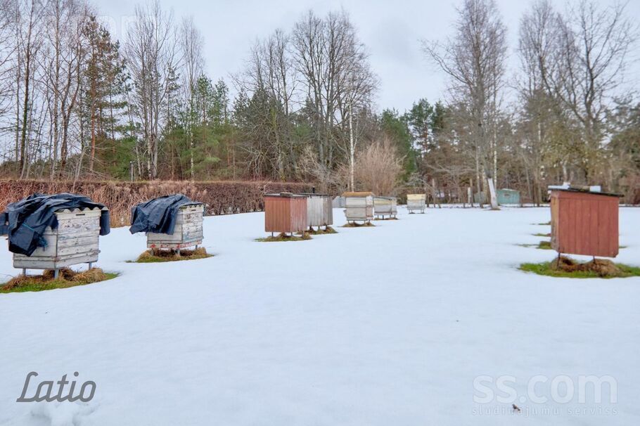 Rotas rotas, Murjāņi, Rīgas rajons, Sējas nov. — maja