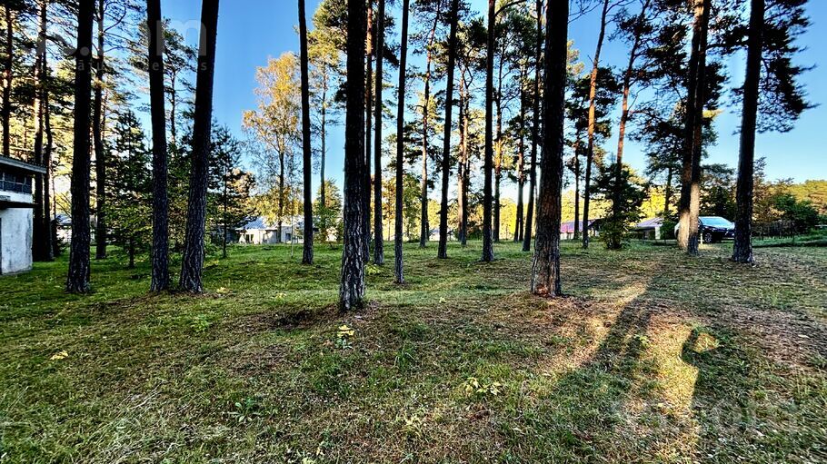 Upes 9a, Roja, Talsi un raj., Rojas pag. — zeme