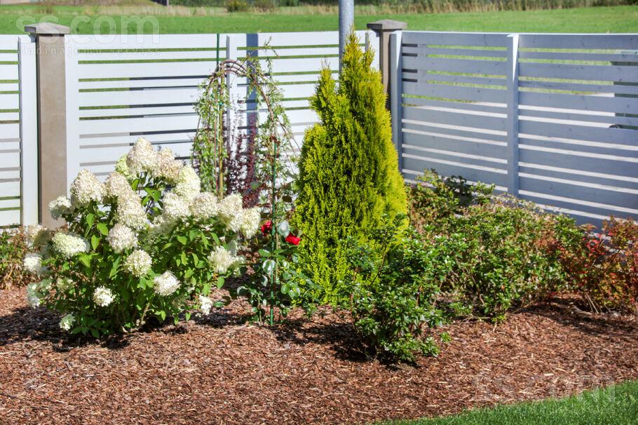 Sebru, Sēbruciems, Rīgas rajons, Babītes pag. — maja