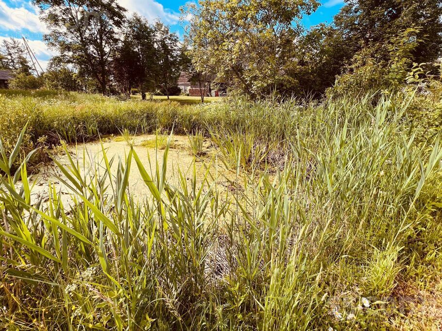 Krustlejas, Trapene, Alūksne un raj., Trapenes pag. — maja