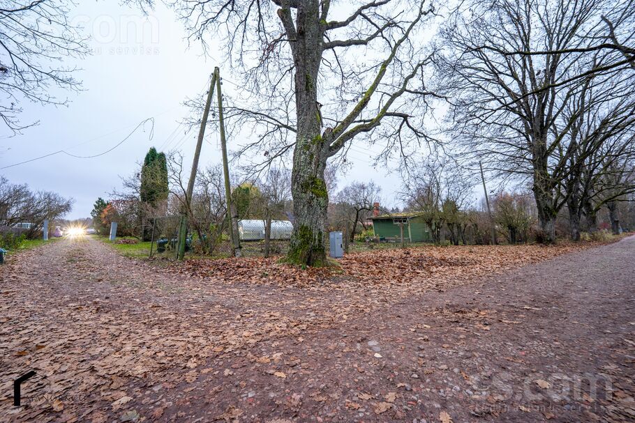 Ziedonis 148, Jelgava un raj., Jelgava — maja