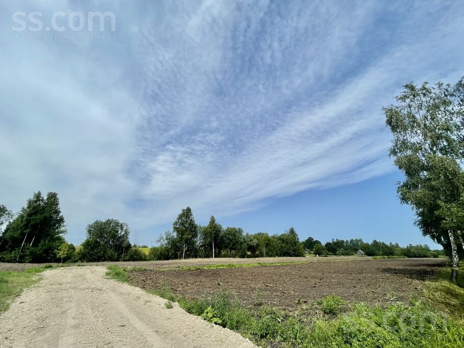 Kraujas iela, Daugmale, Rīgas rajons, Daugmales pag. — zeme