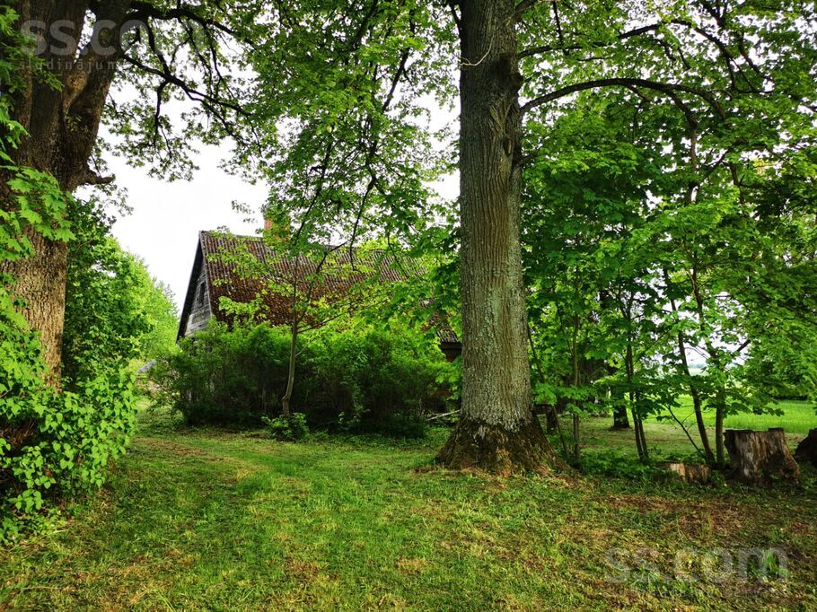 Code, Bauska un raj., Codes pag. — vienseta