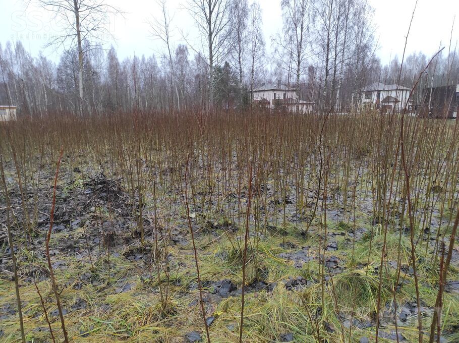 “Avotiņi, Lapmežciems, Tukums un raj. — zeme