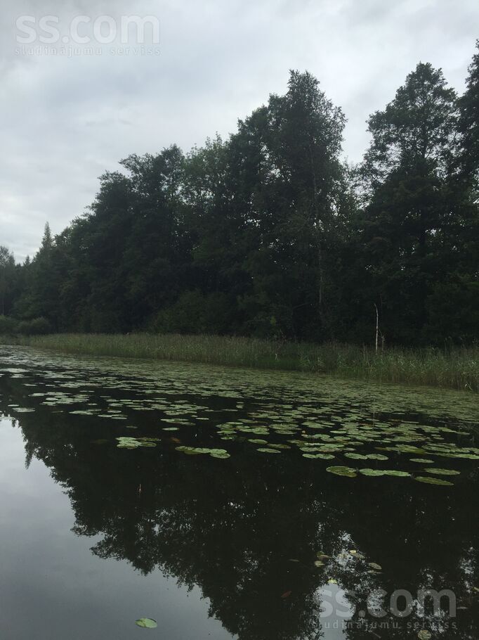 Babri, Rēzekne un raj., Pušas pag. — vienseta