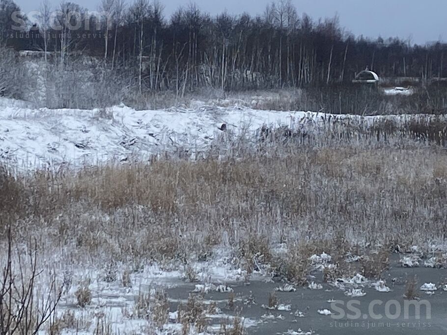 Biķernieki 1, Biķernieki, Daugavpils un raj., Biķernieku pag. — zeme