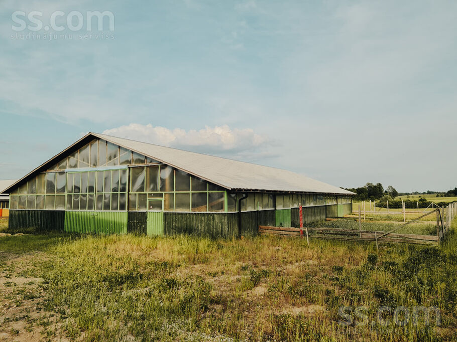 Saules, Vurpuļi, Ludza un raj., Nirzas pag. — zeme