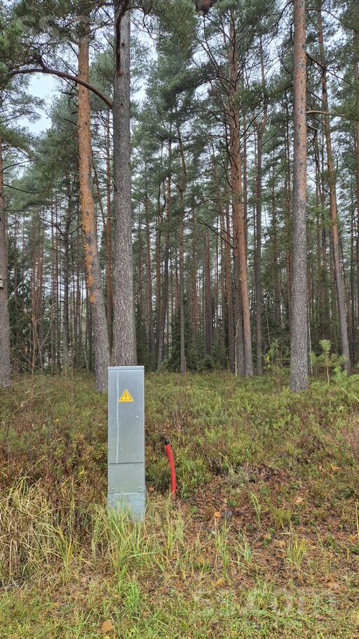 Cīruļu 9, Skulte, Limbaži un raj., Skultes pag. — zeme