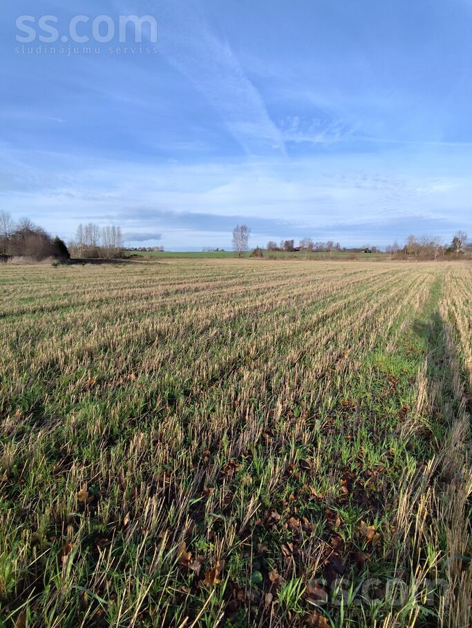 Jaunie Lauksargi, Tadaiķi, Liepāja un raj., Bunkas pag. — zeme