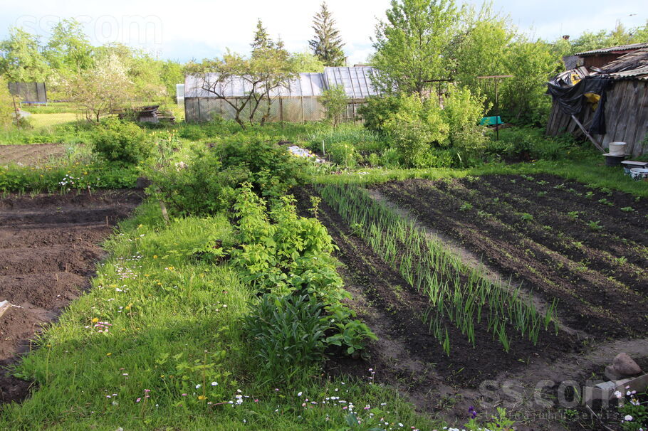 Rīgas 282, Preiļi un raj., Līvāni — dzivoklis