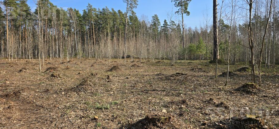 Beberbeķu, Rīga — zeme