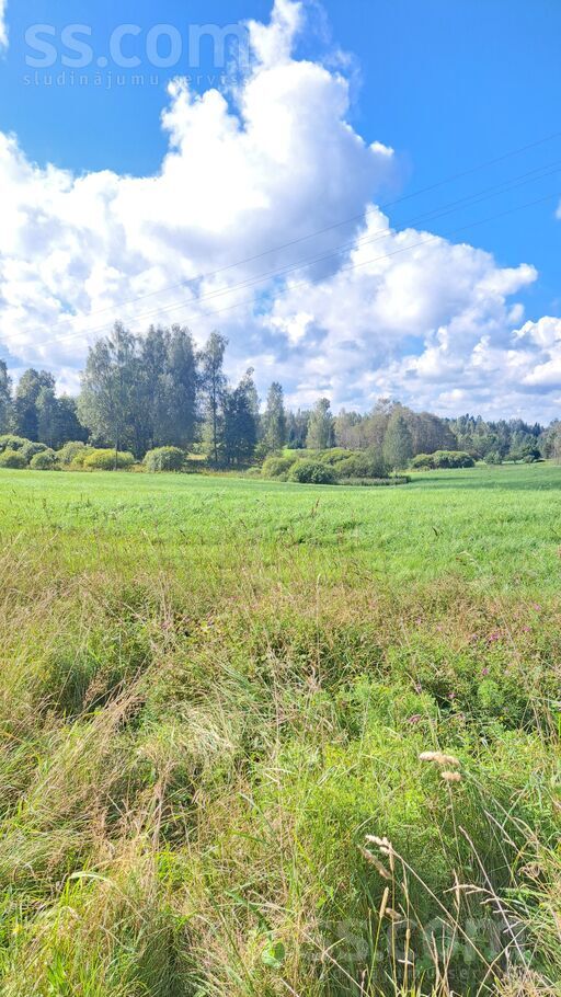 Dzērbene, Cēsis un raj., Dzērbenes pag. — vienseta