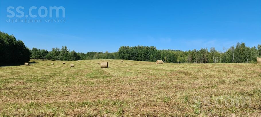 Puzanišķi, Preiļi un raj., Aglonas pag. — vienseta