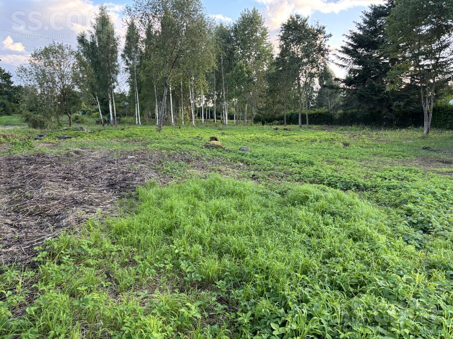 Dienvidu iela 12, Rīgas rajons, Salaspils — zeme