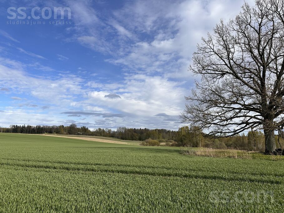 Limbaži un raj., Vidrižu pag. — vienseta