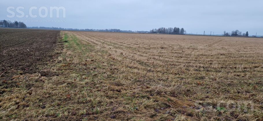 Pūliņi, Kroņauce, Dobele un raj., Auru pag. — zeme