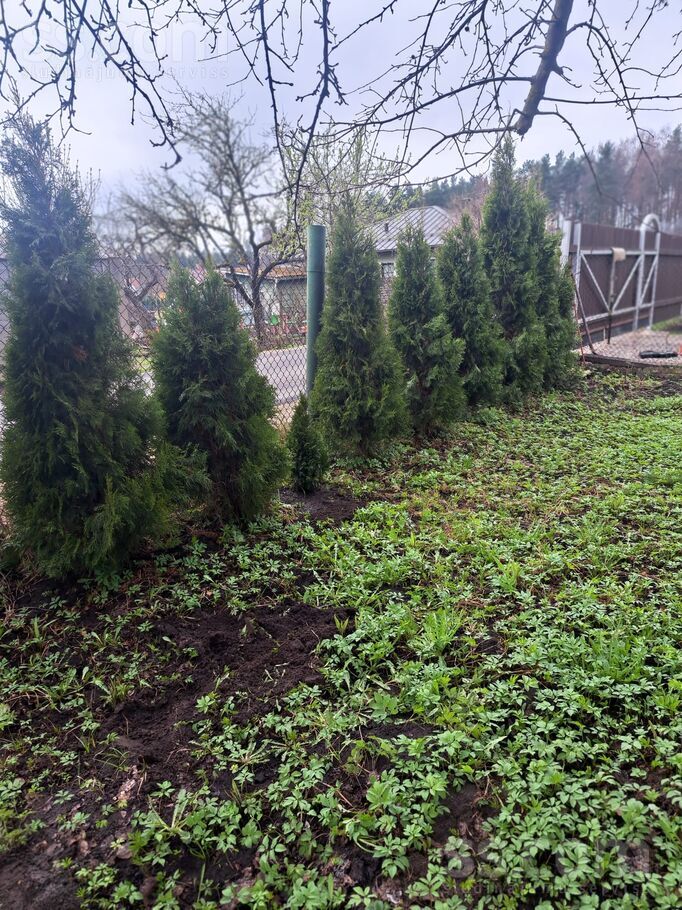 Mežsarga 12, Medemciems, Rīgas rajons, Olaines pag. — zeme