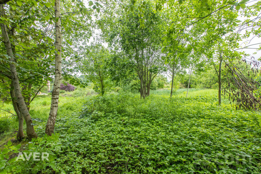 Tērvetes 170b, Jelgava un raj., Jelgava — zeme