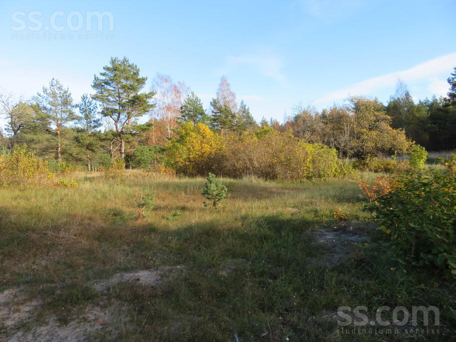 Tilti 2, Miķeļtornis, Ventspils un raj., Tārgales pag. — zeme