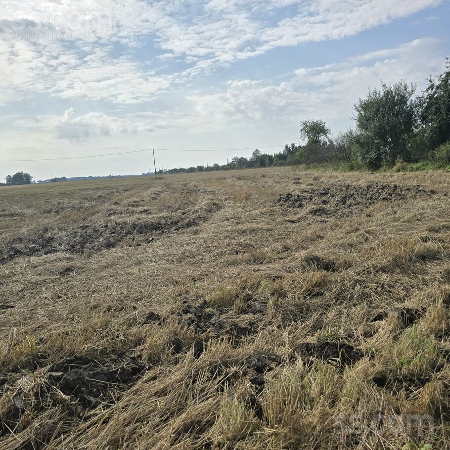 Nau, Šalkas, Jelgava un raj., Jaunsvirlaukas pag. — zeme