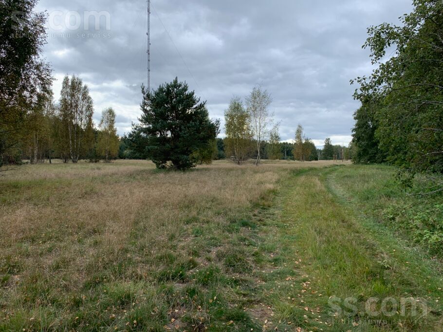 Buciņi, Lielirbe, Ventspils un raj., Tārgales pag. — zeme