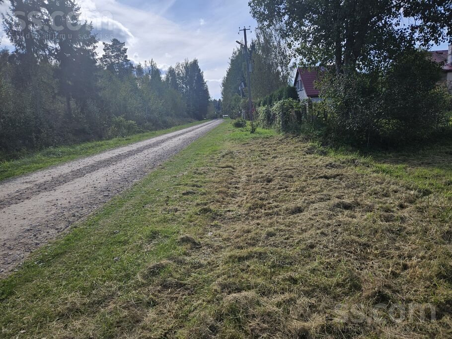 D/s Lazdas 2565, Jāņupe, Rīgas rajons, Olaines pag. — zeme