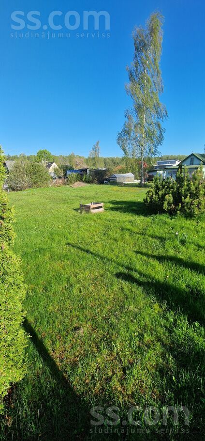 Dalbes 18, Rīgas rajons, Olaine — zeme