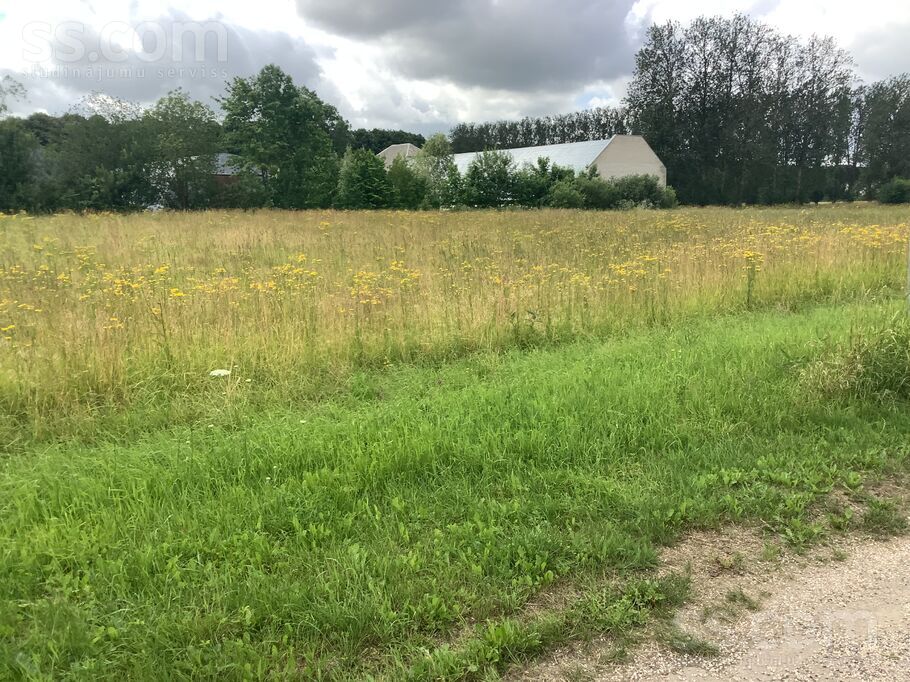 Lavandas, Zūras, Ventspils un raj., Vārves pag. — zeme