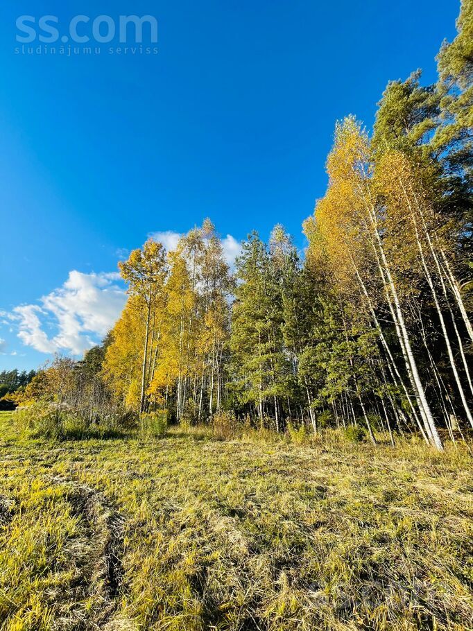 Eglītes, Pēternieki, Rīgas rajons, Olaines pag. — zeme