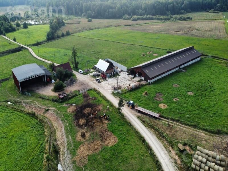 Kalna pupoli, Šengeida, Daugavpils un raj., Skrudalienas pag. — telpa