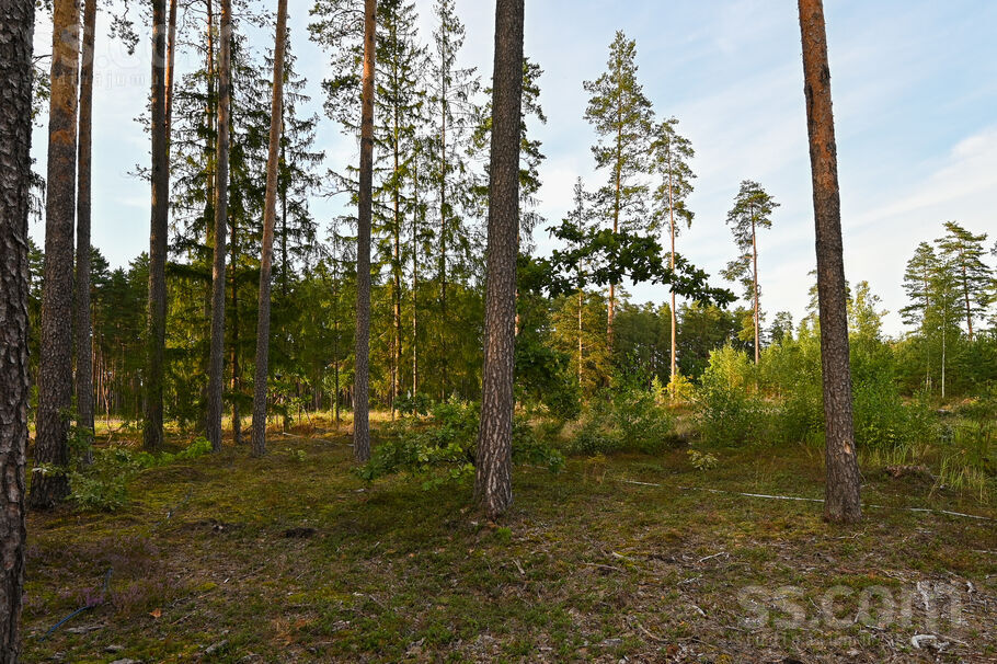 Mellenes, Inčukalns, Rīgas rajons, Inčukalna nov. — zeme