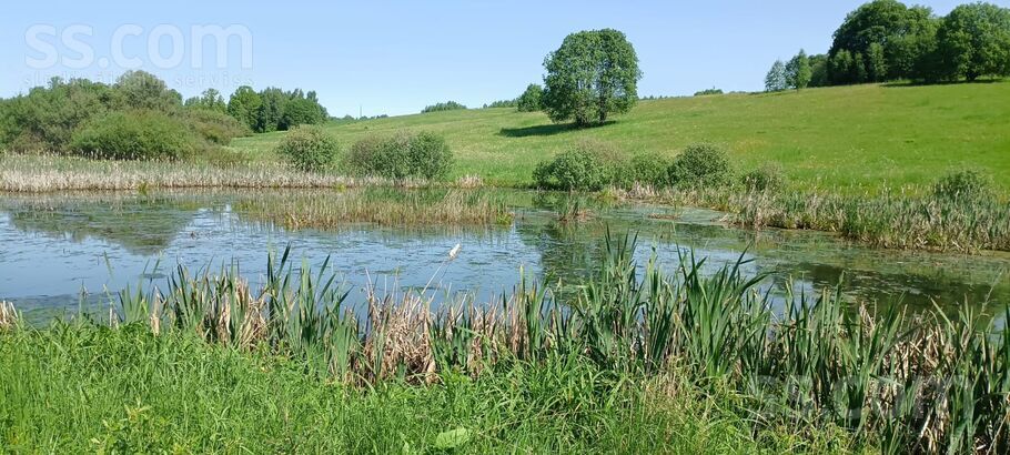Miera iela, Prezma, Rēzekne un raj., Silmalas pag. — zeme
