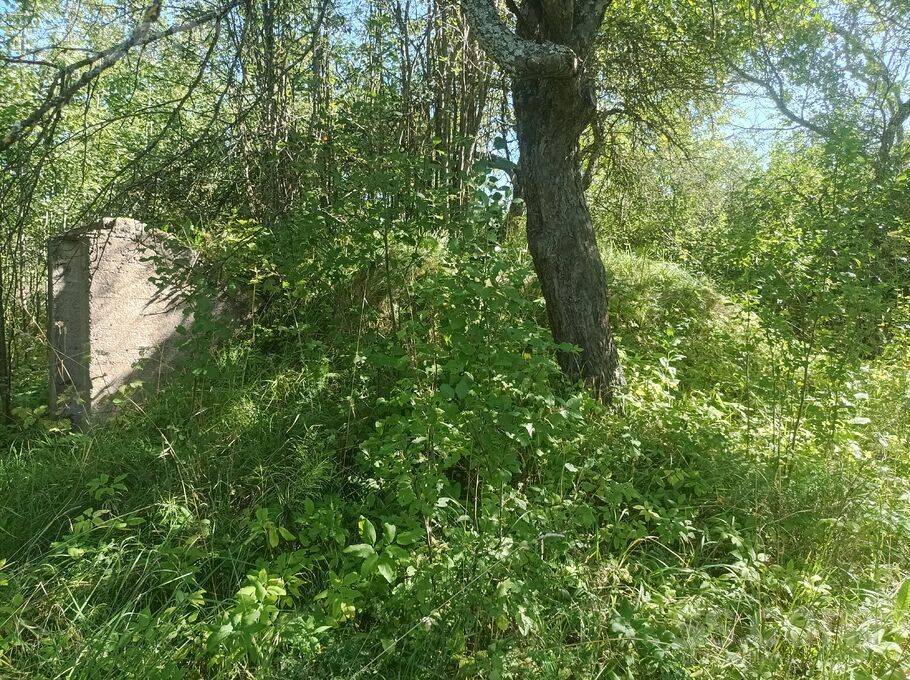 Ludza un raj., Kārsava — vienseta