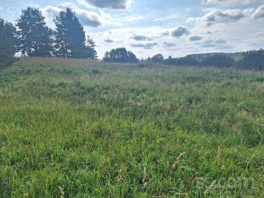 Kurmas sādžas viensē, Ludza un raj., Pildas pag. — zeme