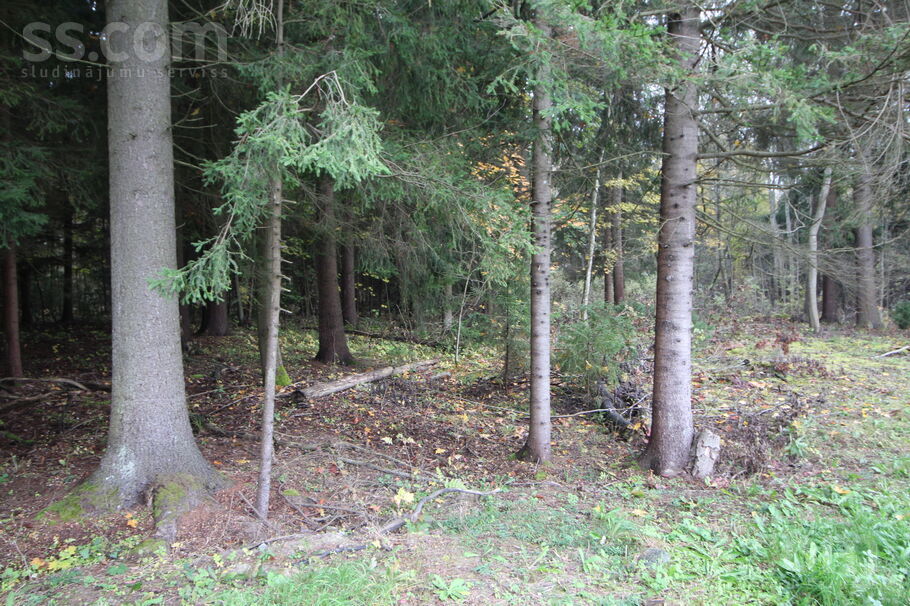 Ozerki, Rēzekne un raj., Rēzekne — zeme