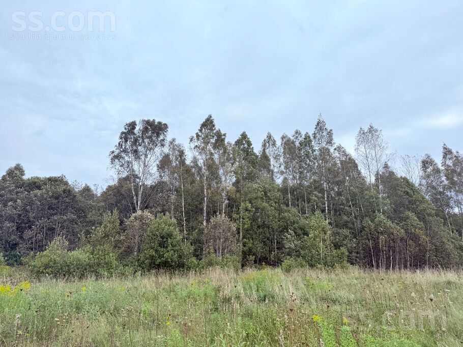 Miera iela, Prezma, Rēzekne un raj., Silmalas pag. — zeme