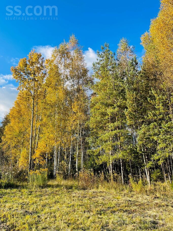 Eglītes, Pēternieki, Rīgas rajons, Olaines pag. — zeme