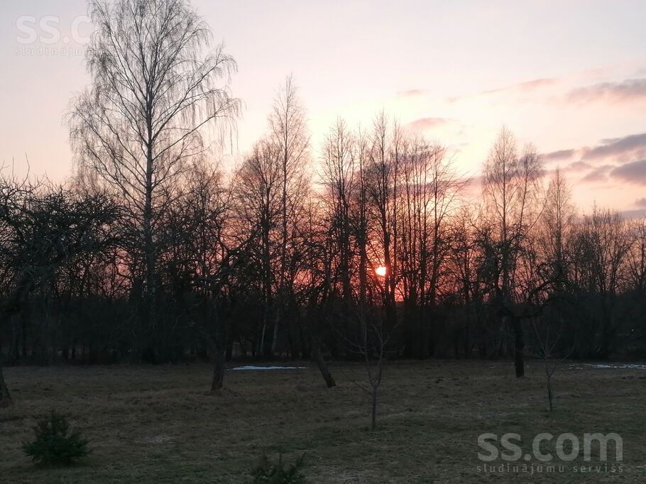 Randene, Randene, Daugavpils un raj., Kalkūnes pag. — zeme